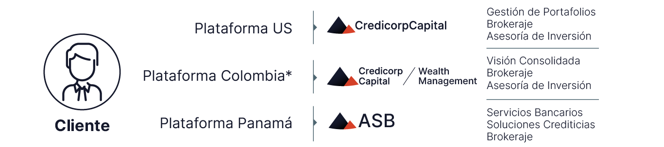 Servicio_Multiplataforma.png